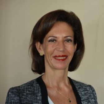 Josée Sulzer, Groupe Industriel Marcel Dassault